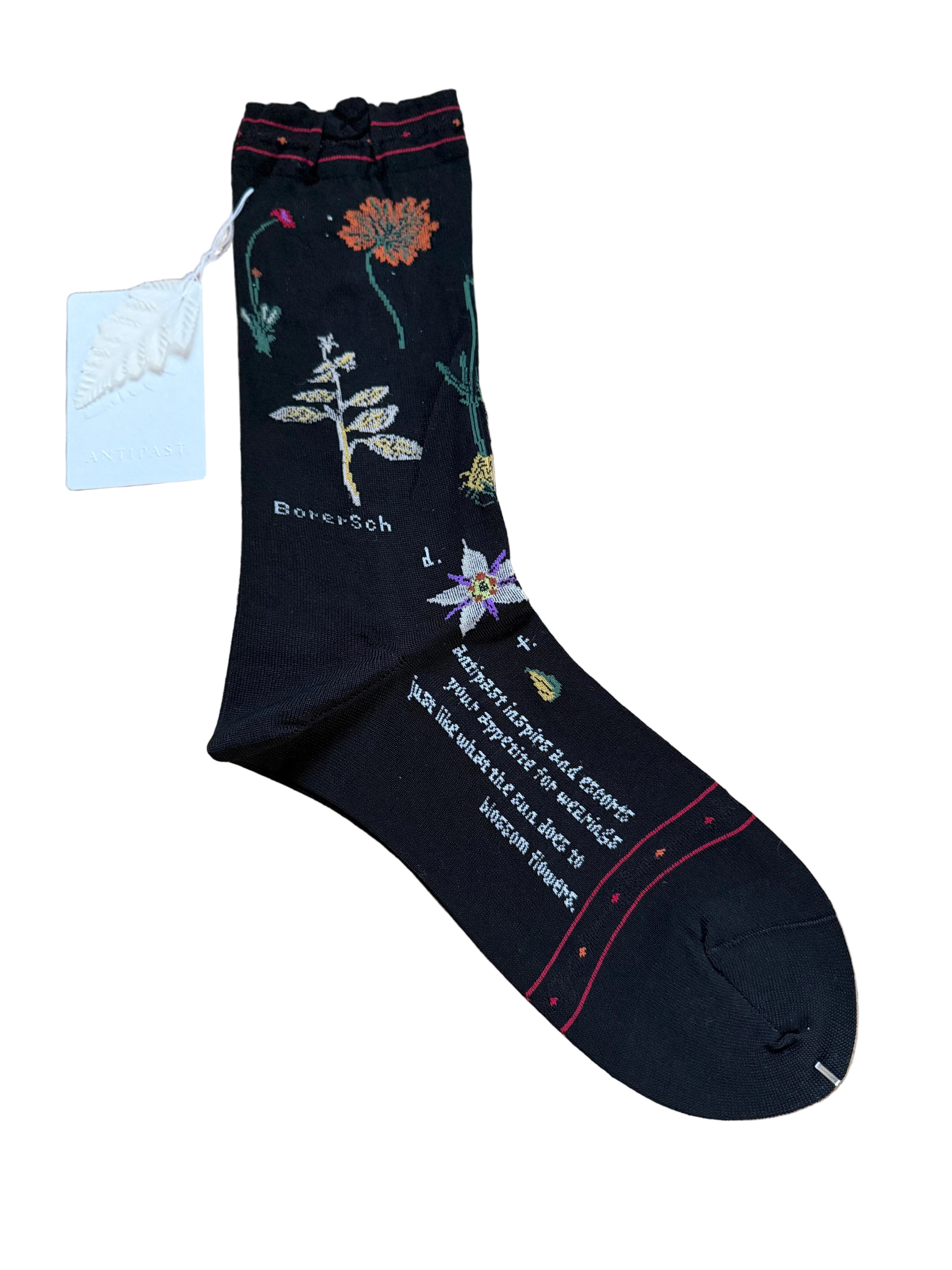ANTIPAST Botanical XVII