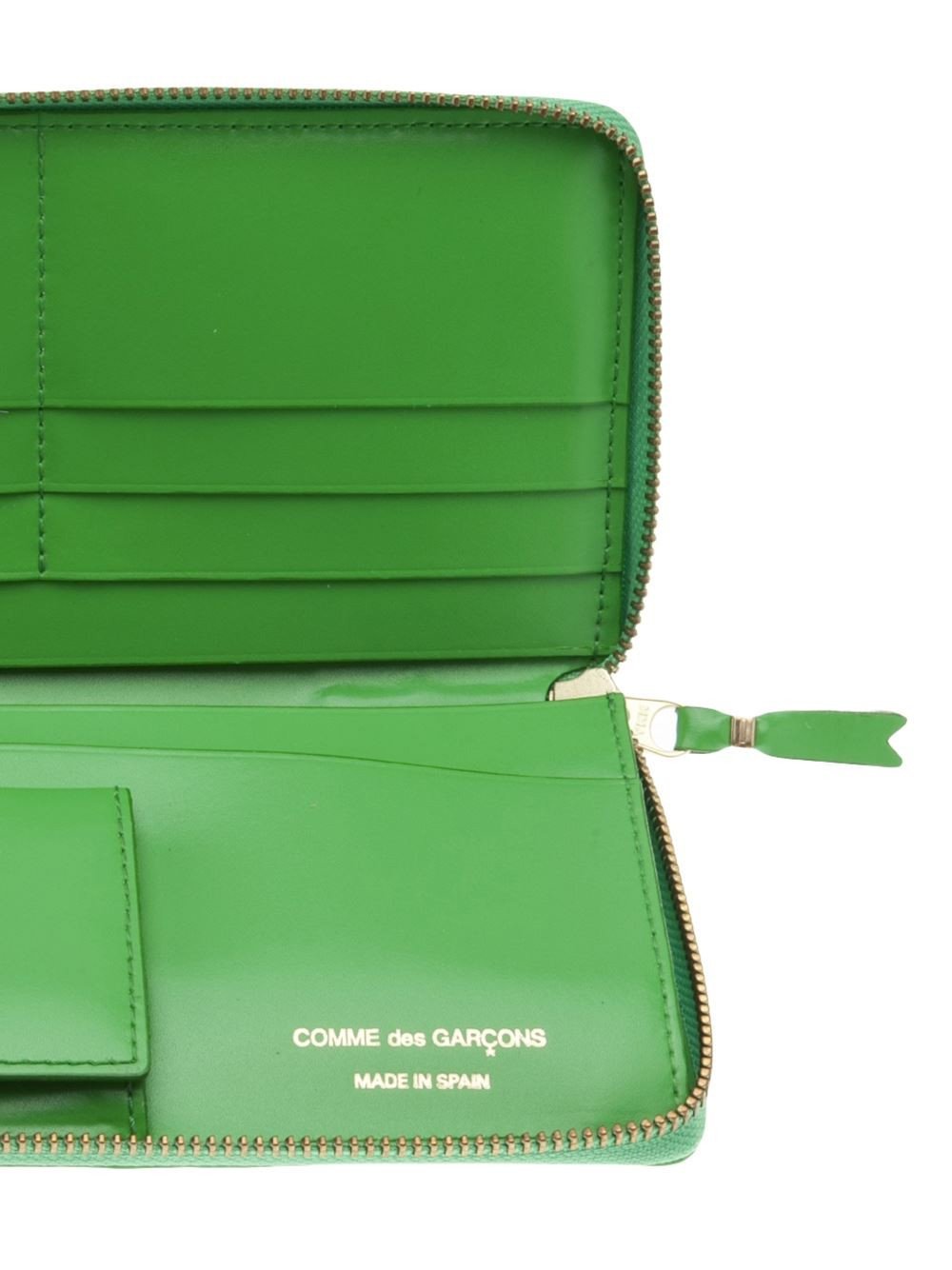 Embossed leather line (Green SA2100E A)