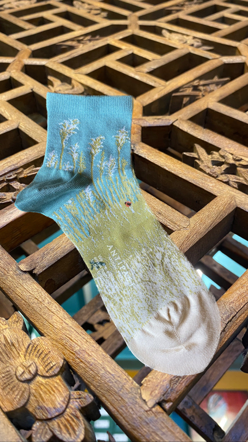 ANTIPAST Compression Cover