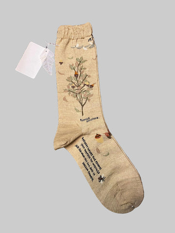 ANTIPAST Wind and acorn tree beige